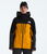 Summit Gold/TNF Black