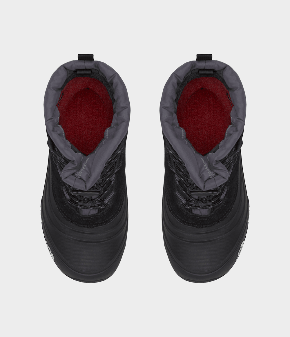 Youth Alpenglow V Waterproof Boots