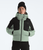 Slate Moss/TNF Black