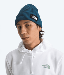 Salty Lined Beanie