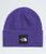 TNF Purple