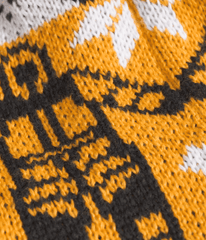 Cabin Ski Tuke